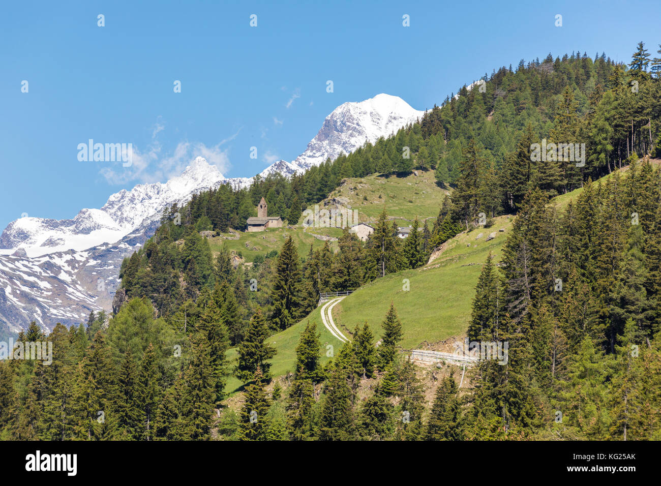 Grüner Wald und schneebedeckte Berge, San Romerio Alp, Brusio, Kanton Graubünden, Poschiavo Valley, Schweiz, Europa Stockfoto