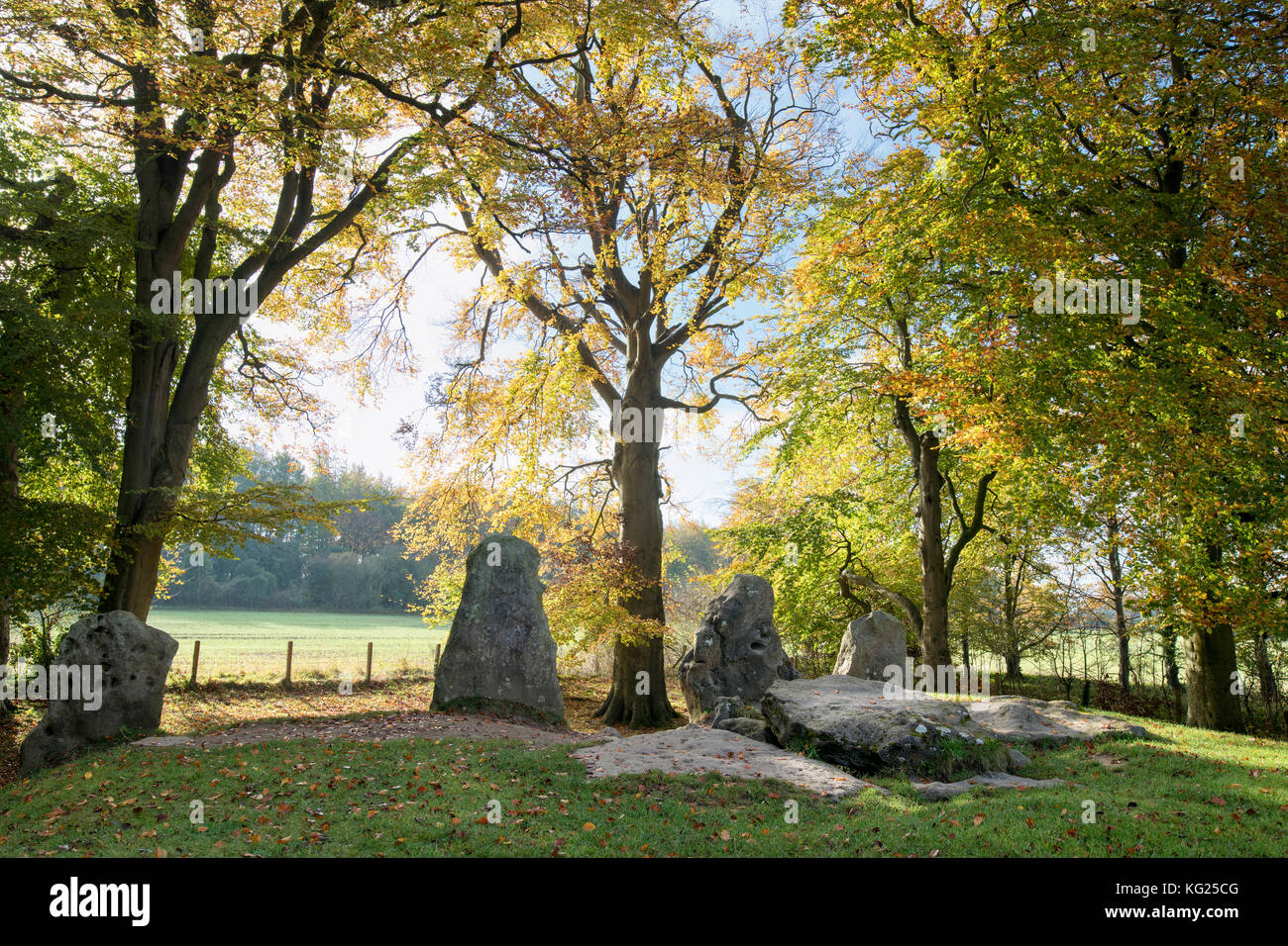 Waylands Schmiede im Herbst morgens das Sonnenlicht. Jungsteinzeit gekammert Long Barrow entlang der Höhenweg, Ashbury, Oxfordshire, England. Stockfoto