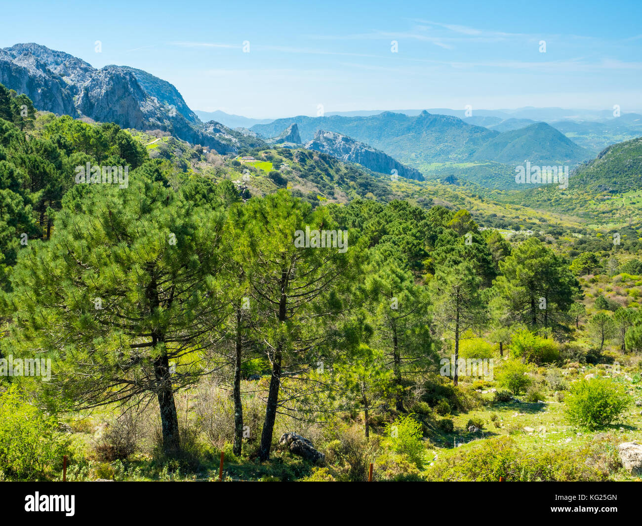 Sierra de Grazalema, Andalusien, Spanien, Europa Stockfoto