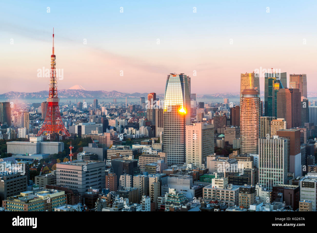 Erhöhter Abendblick auf die Skyline der Stadt und den ikonischen Tokyo Tower, Tokio, Japan, Asien Stockfoto