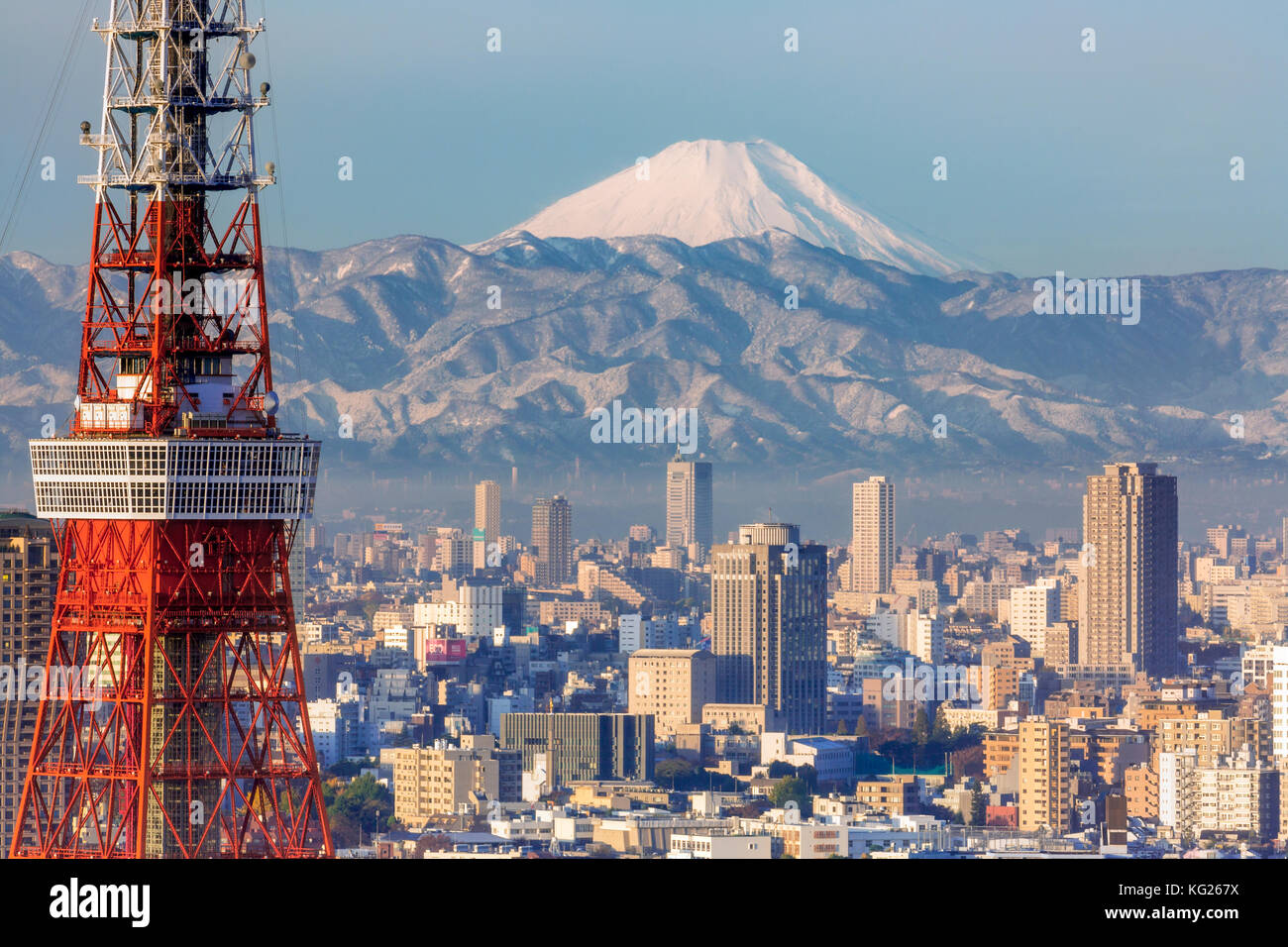 Erhöhter Blick auf die Skyline der Stadt und den ikonischen Tokyo Tower, Tokio, Japan, Asien Stockfoto