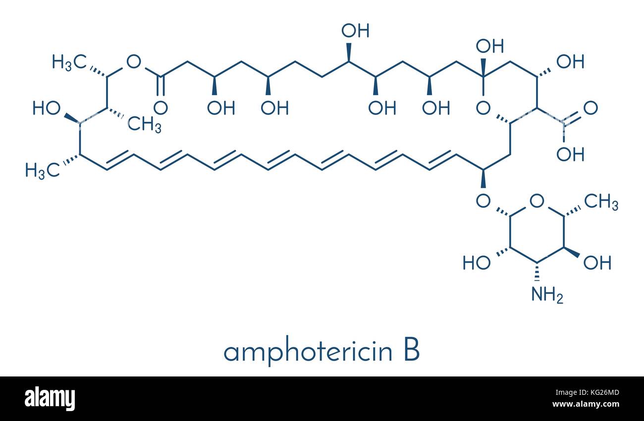 Amphotericin B Antimykotikum Molekül. Skelettmuskulatur Formel. Stock Vektor