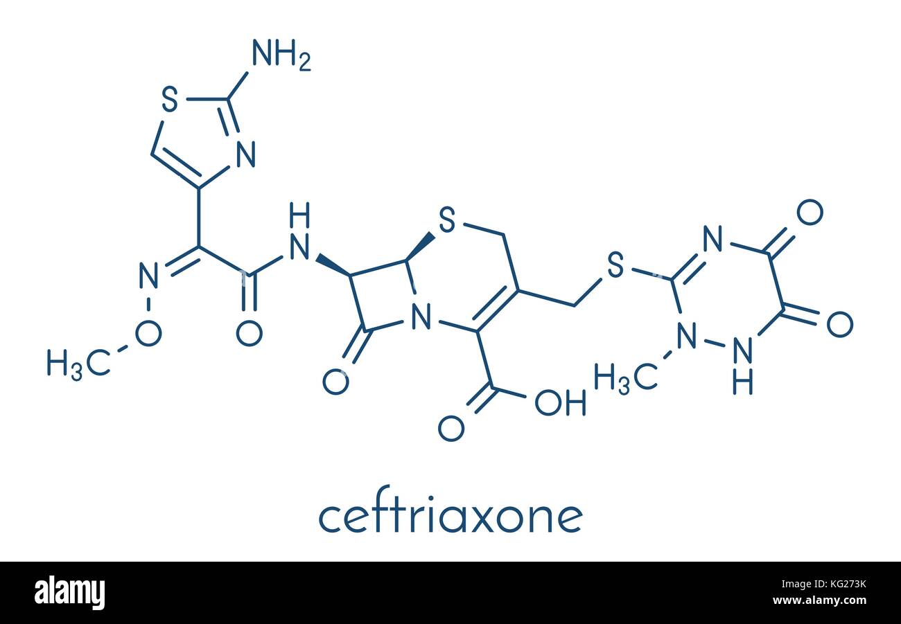 Ceftriaxon Antibiotikum Medikament Molekül (Cephalosporin der dritten  Generation). Skelettmuskulatur Formel Stock-Vektorgrafik - Alamy