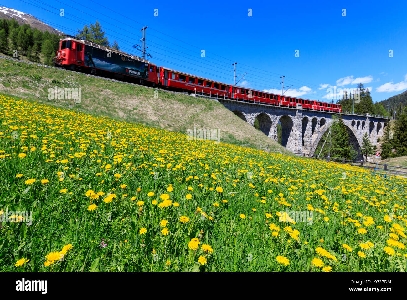 Bernina Express Zug auf Cinuos-chel Viadukt im Frühjahr, st. moritz, majola, Kanton Graubünden, Schweiz, Europa Stockfoto