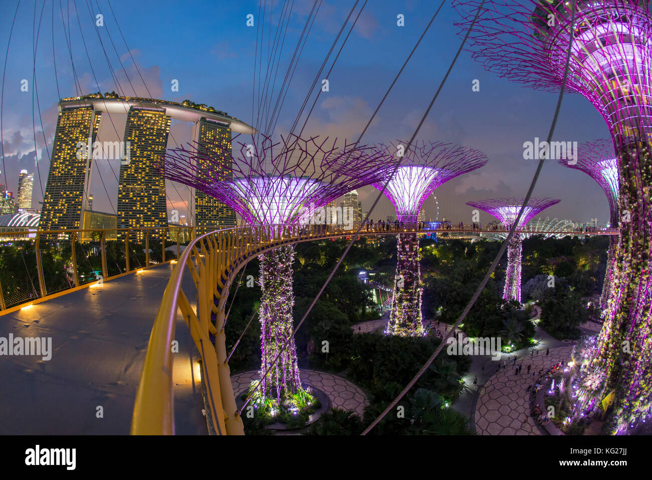 Supertrees an Gärten durch die Bucht, bei Nacht beleuchtet, Singapur, Südostasien, Asien Stockfoto