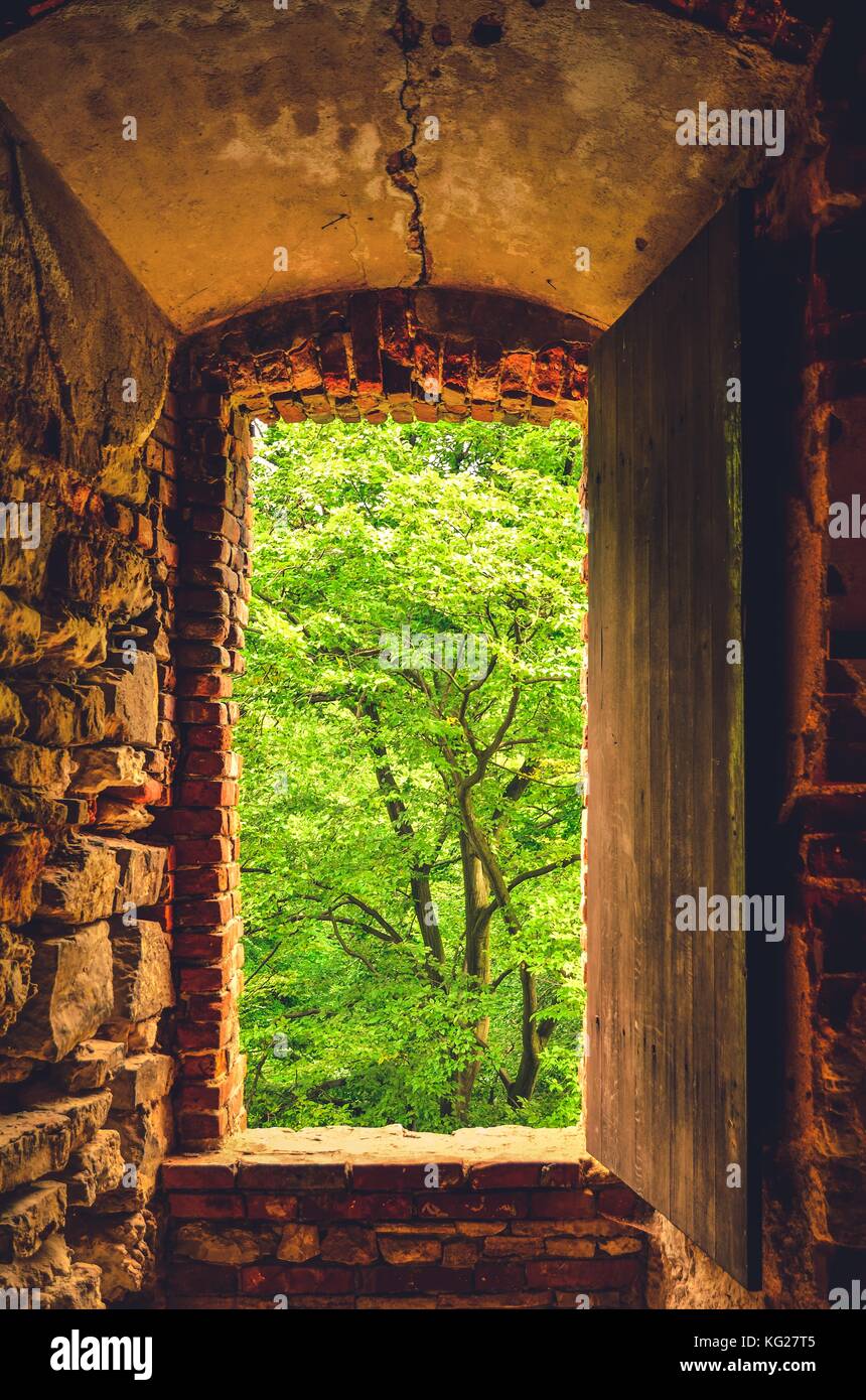 Fenster mit Blick auf das Grün der Bäume in den Ruinen der Burg. Alte lipowiec Schloss in babice, Polen. Stockfoto