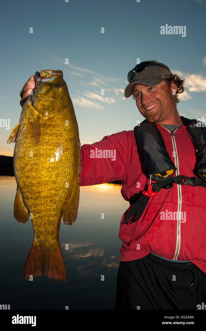 Mann heben Trophy smallmouth Bass Stockfoto