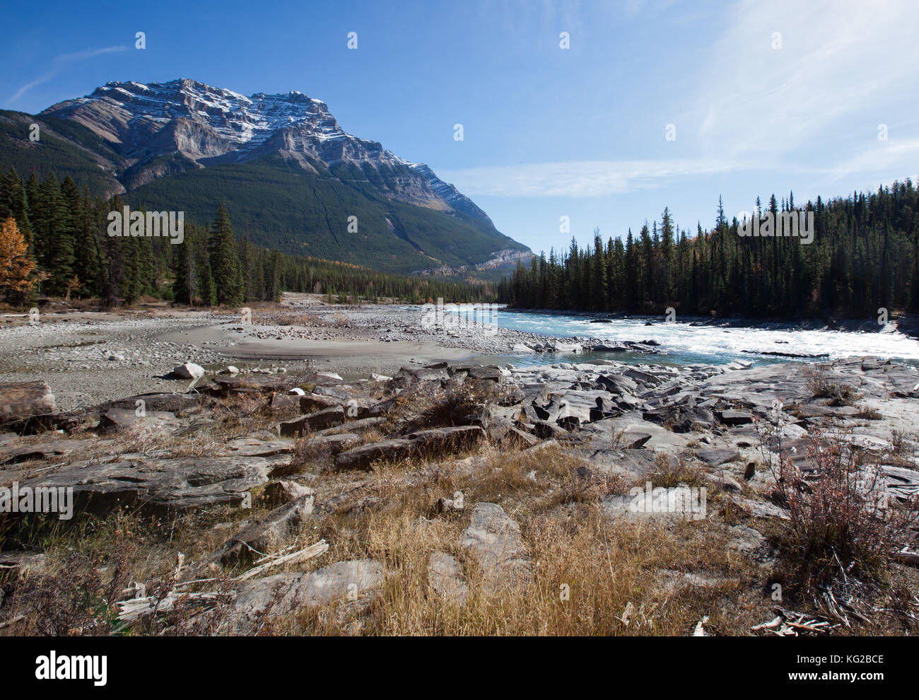 Die athabasca River und kerkeslin in Alberta, Kanada Stockfoto