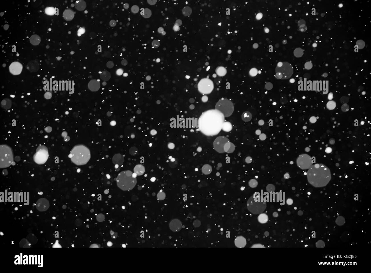 Fallenden Schnee auf schwarzem Hintergrund. Stockfoto