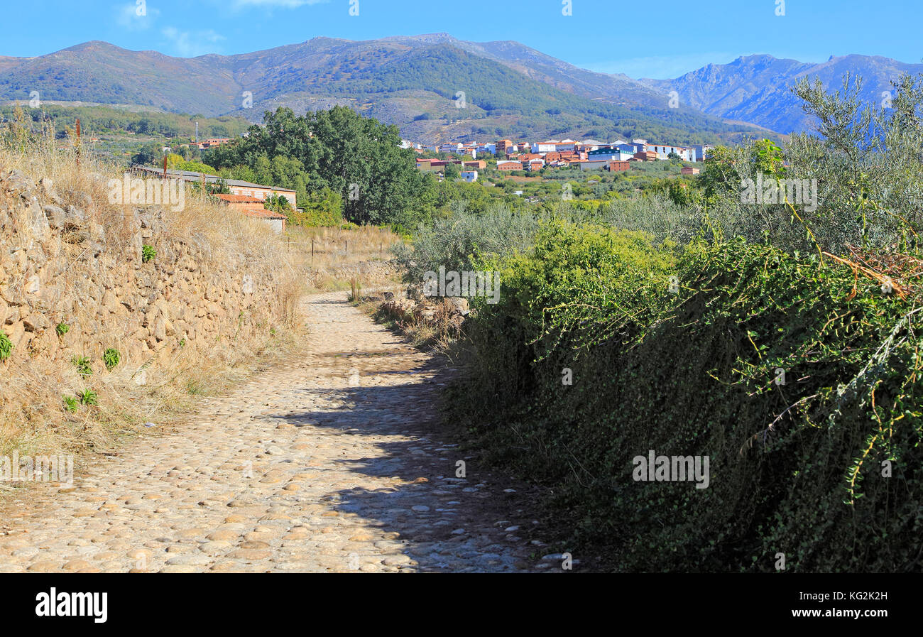 Ruta del Emperador, Route Des Kaisers Fußweg, um Aldeanueva de la Vera, Extremadura, Spanien Stockfoto
