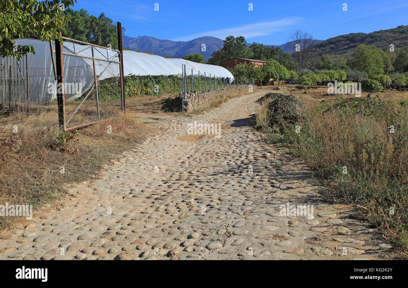 Ruta de los Condes, Route Des Kaisers Fußweg, Cuacos de Yuste, La Vera, Extremadura, Spanien Stockfoto