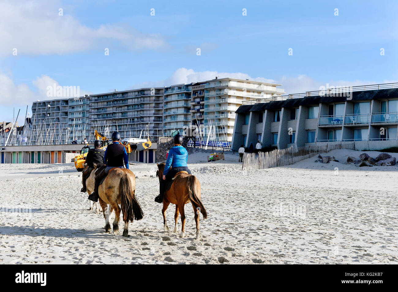 Ausritt - Le Touquet - Paris Plage, Pas-de-Calais - Hauts-de-France - Frankreich Stockfoto