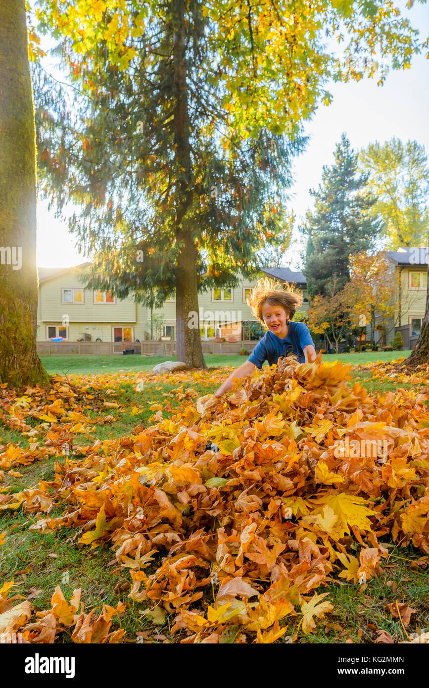 Junge springen in einen Haufen Blätter Stockfoto