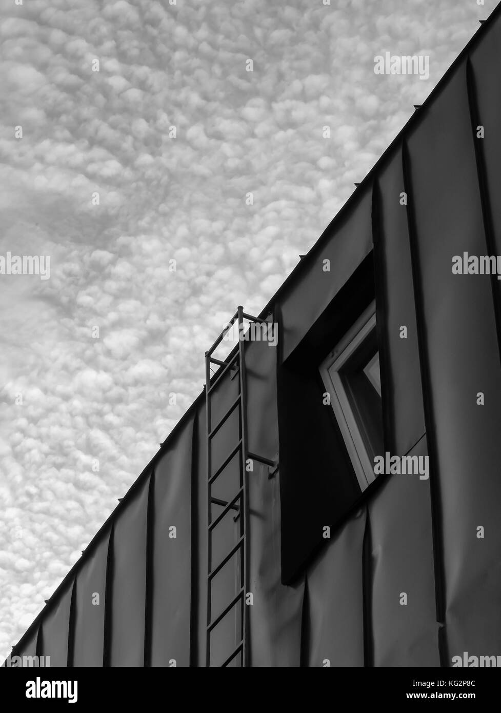 Bügeleisen Leiter auf dem Dach, die zu den bewölkten Himmel, gedreht in schwarz und weiß Stockfoto