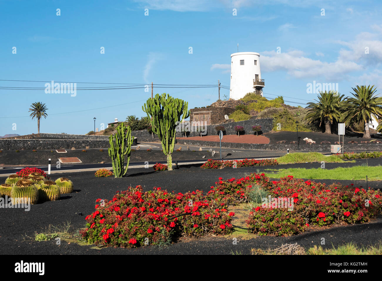 Cacatus abnd andere Pflanzen auf Anzeige am großen Kreisverkehr außerhalb der Stadt von Yaiza auf Lanzarote. Stockfoto