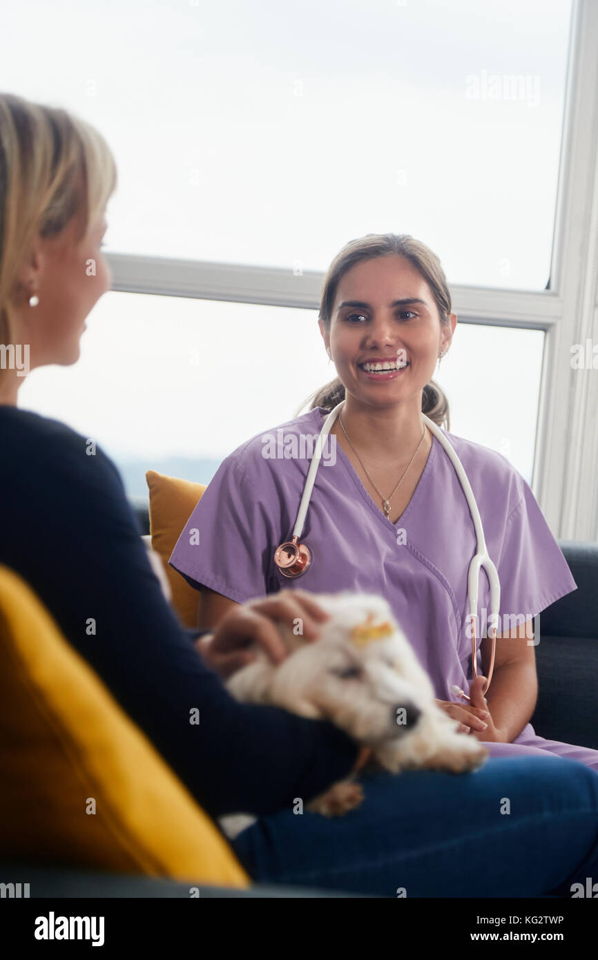 Junge Hispanic Frau als Tierarzt, Tierarzt sprechen, um Hundebesitzer auf. Tier Arzt während des Besuchs des kranken Haustier zu Hause arbeiten. Stockfoto