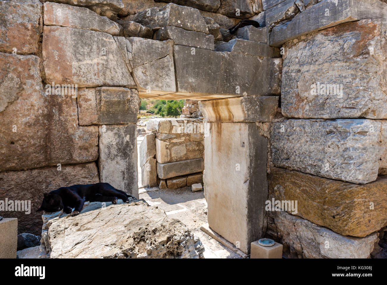 Katze schläft auf Marmor Ruinen von Ephesus historische antike Stadt, in Selcuk, Izmir, Türkei. Stockfoto