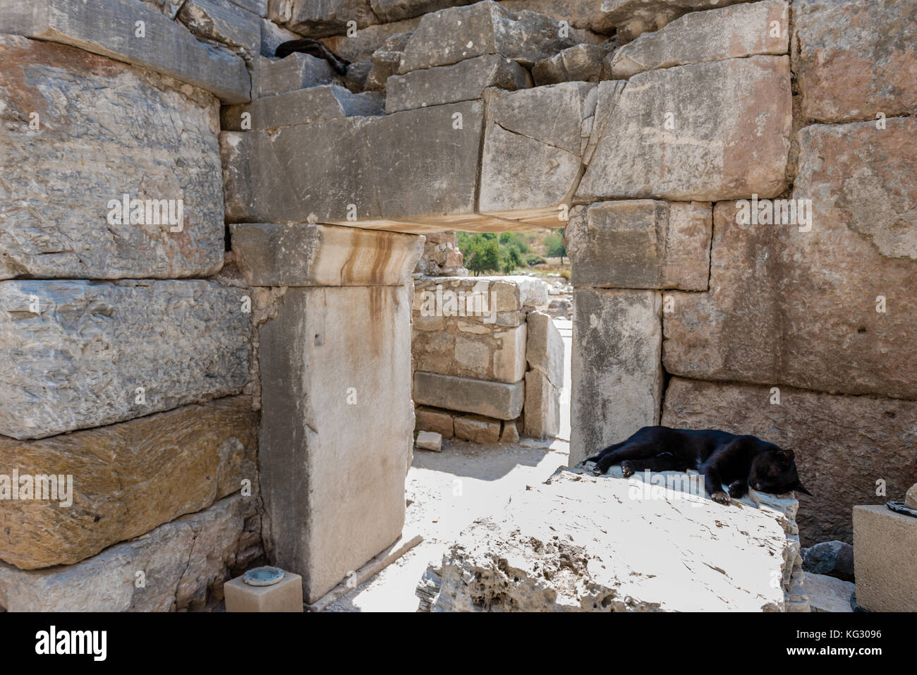 Katze schläft auf Marmor Ruinen von Ephesus historische antike Stadt, in Selcuk, Izmir, Türkei. Stockfoto