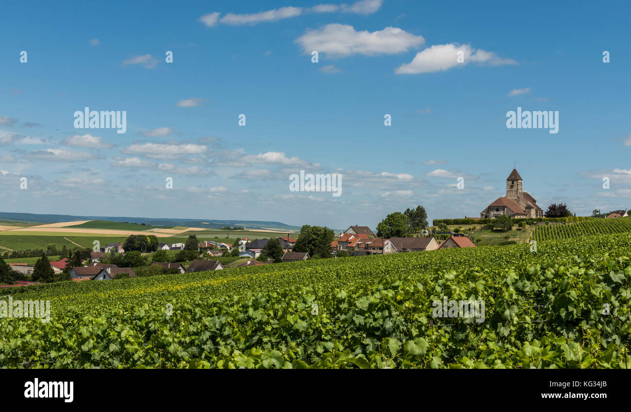 Kirche von cuis und der Champagner Dorf cuis mit grünen Weinberge in der Champagne Bezirk Cotes de Blancs, Frankreich. Stockfoto