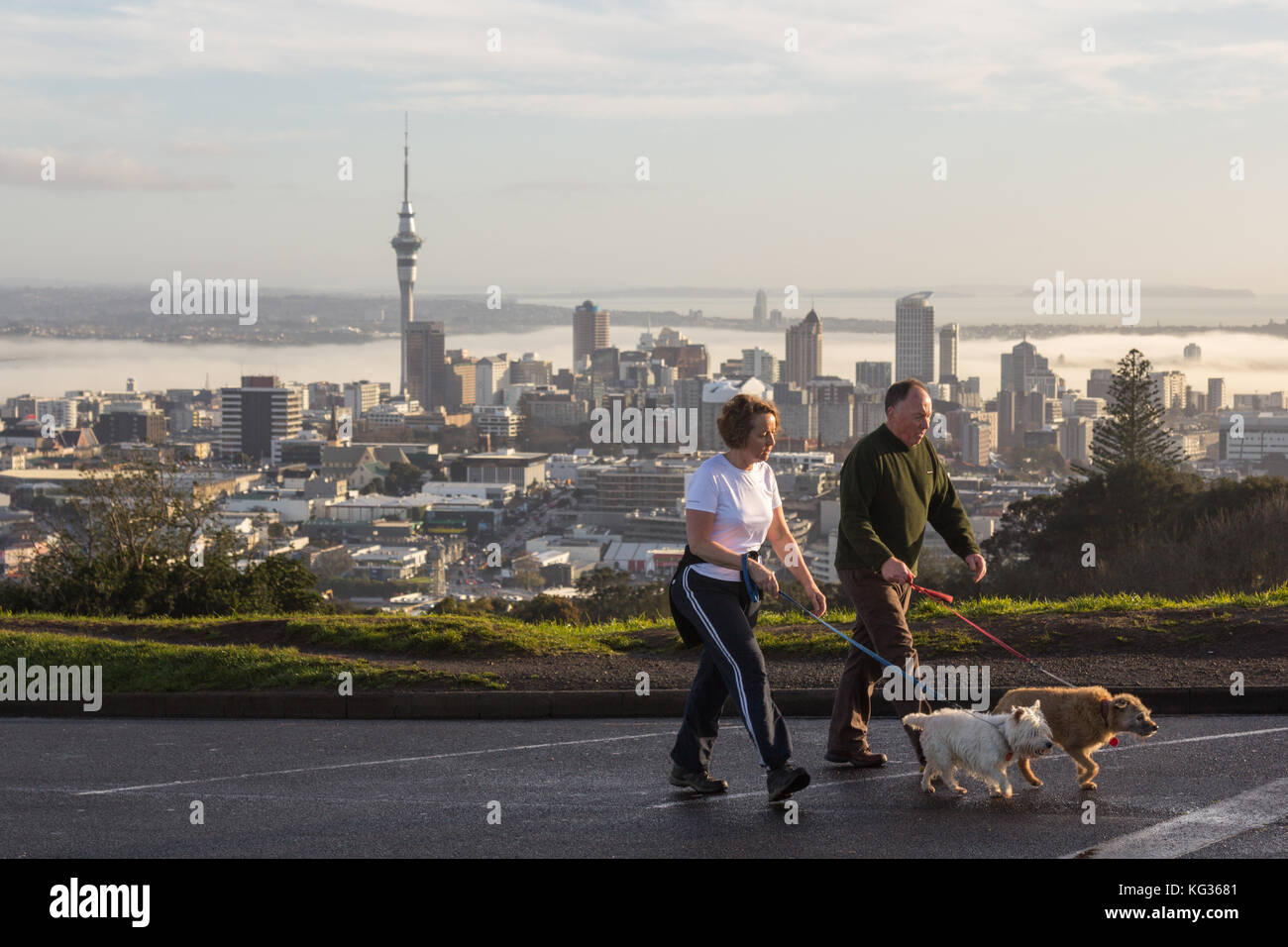 Dogwalking am frühen Morgen auf dem Mount Eden, Auckland, Neuseeland Stockfoto