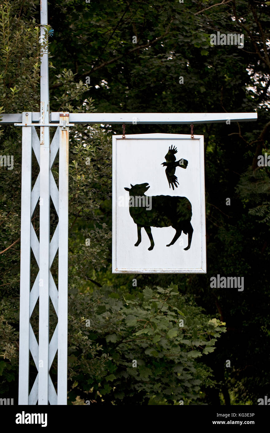 Raven (Corvus Corax) Stockfoto
