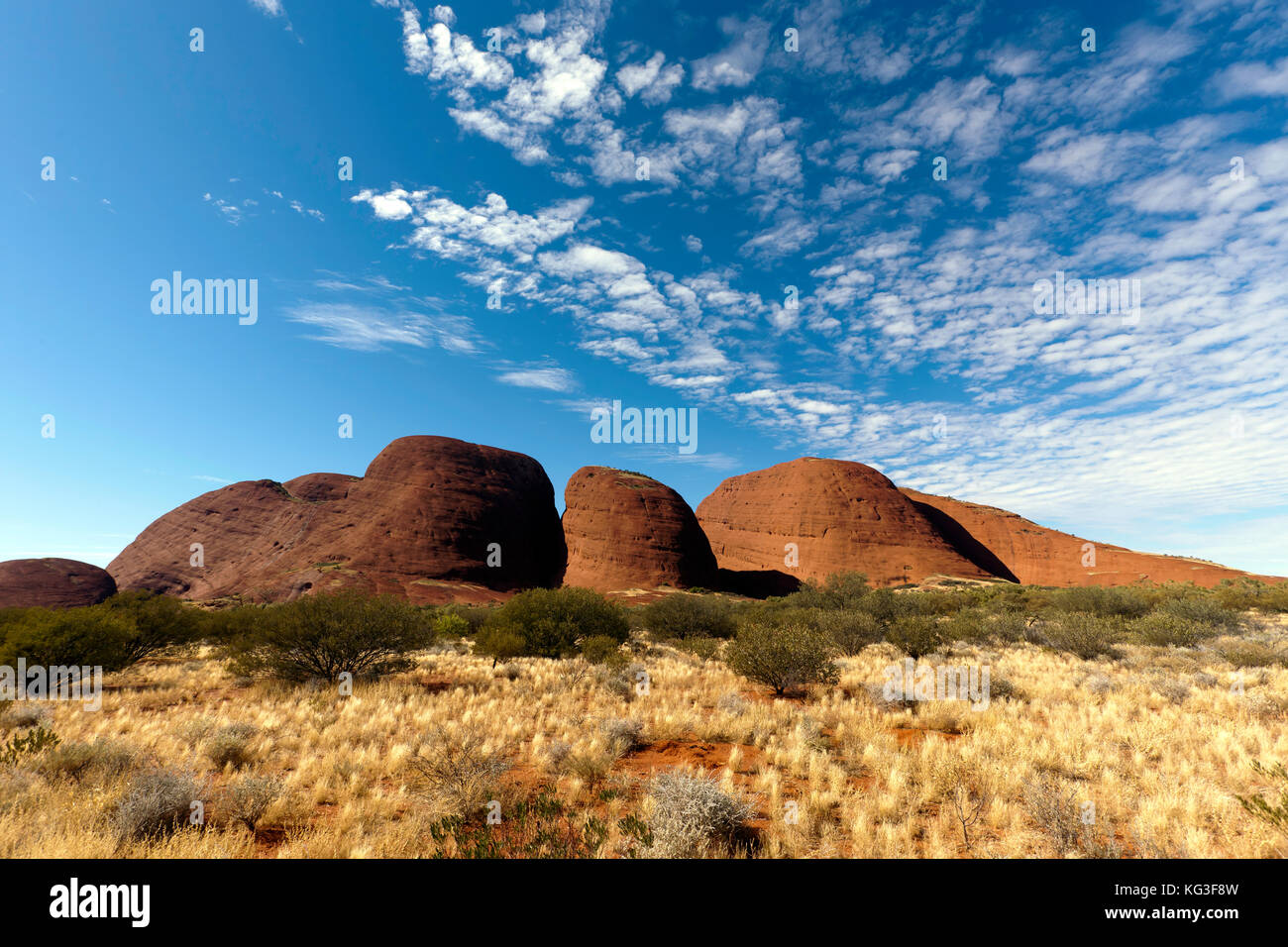 Weitwinkelansicht von Kata Tjuṯa, einer Gruppe von großen, gewölbten Felsformationen im Uluṟu-Kata Tjuṯa National Park, Northern Territory, Australien Stockfoto