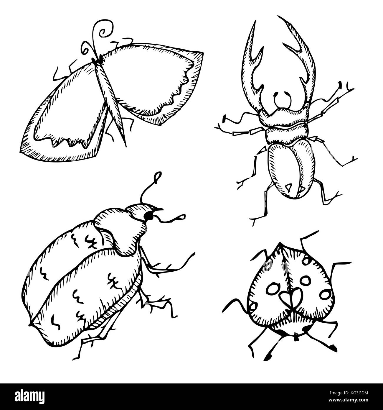 Satz von Schmetterling und Bugs. Vector Illustration. Stock Vektor