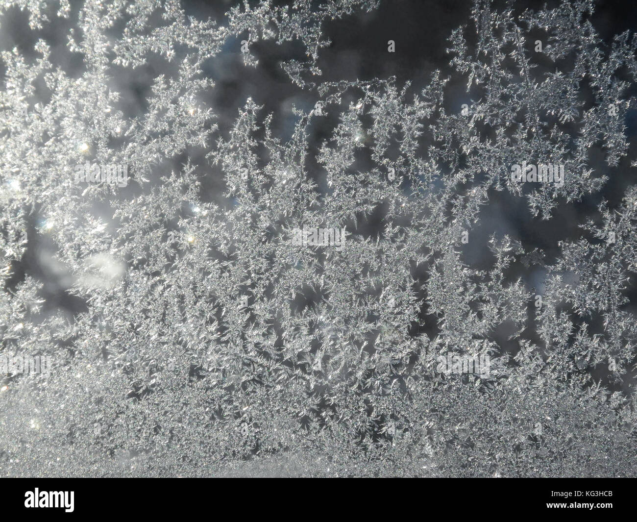 Magisch glitzernden Schneeflocken im Winter. Erstaunlich natürliches Design aus der Natur. Stockfoto
