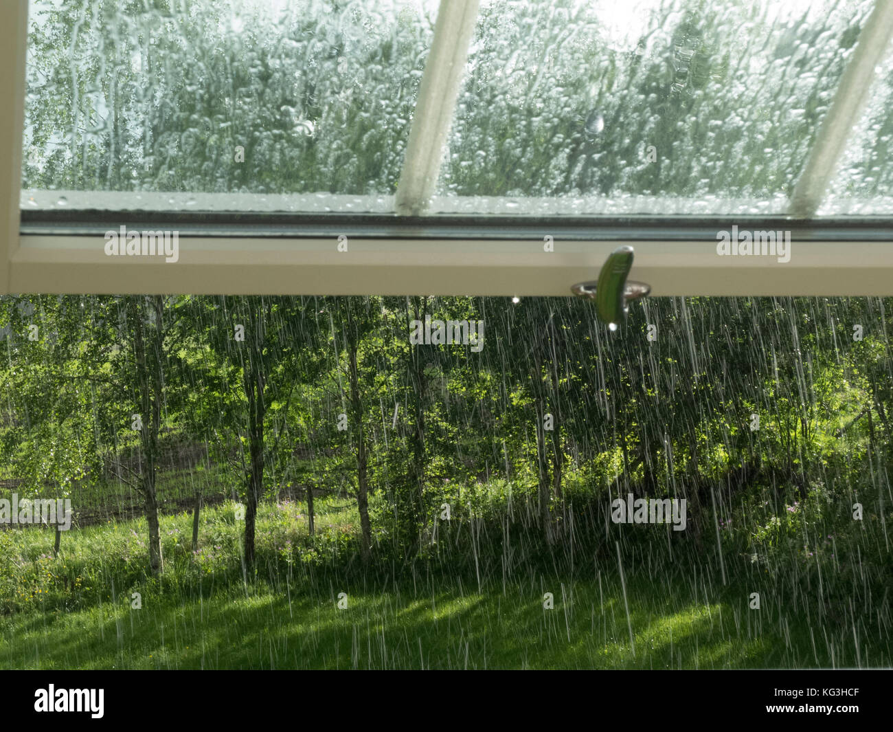 Durch ein Fenster im Sommer Regen. Stockfoto
