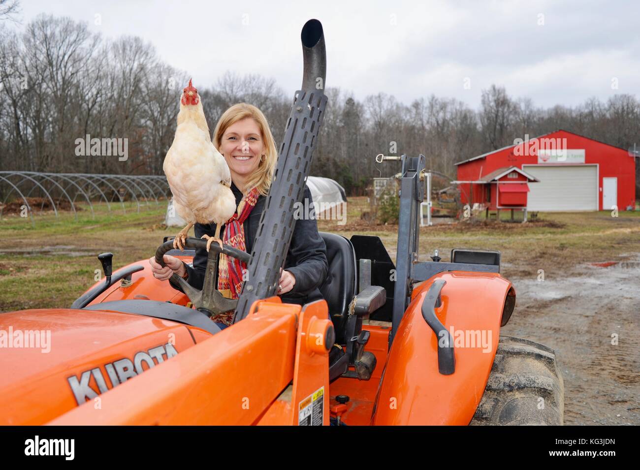 Frau Bauer auf dem Traktor mit Huhn bei Kluge acres Organic Farm, ein u
