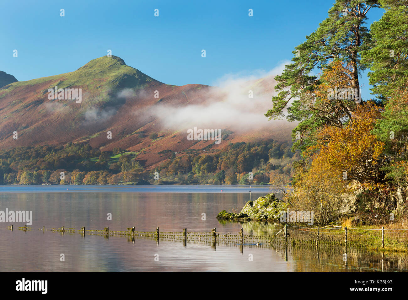 Catbells und Derwentwater in der Nähe von Keswick Cumbria Lake District Stockfoto