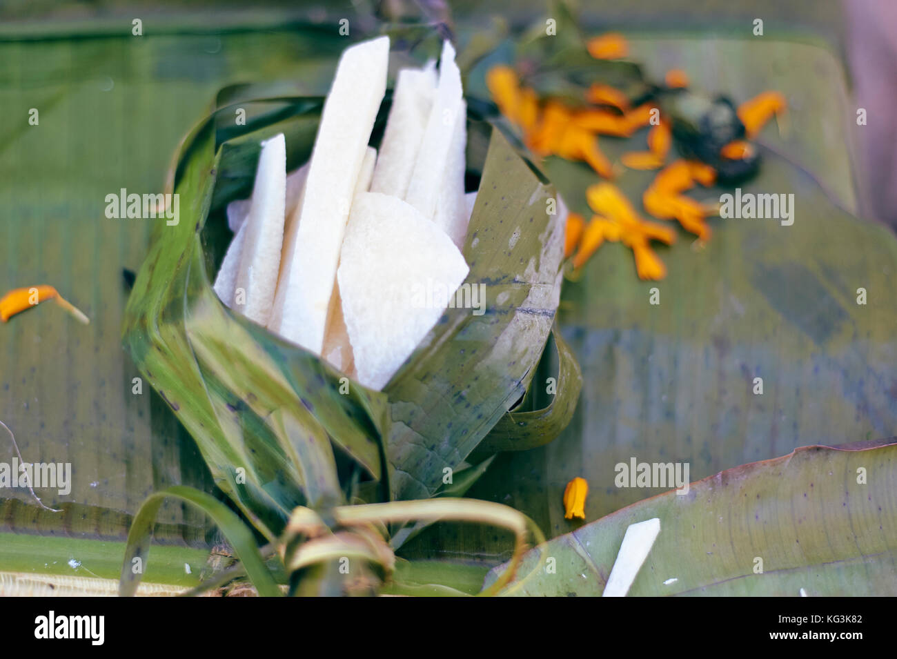 Tag der Toten in der Yucatan Halbinsel. hanal pixan, Maya tradition Bedeutung Nahrung für die Seelen der Verstorbenen. Ein Altar. Stockfoto