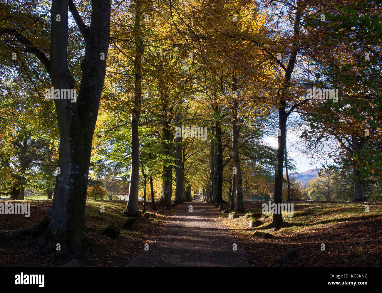 Lord drummond von cargill Fotos und Bildmaterial in hoher Auflösung