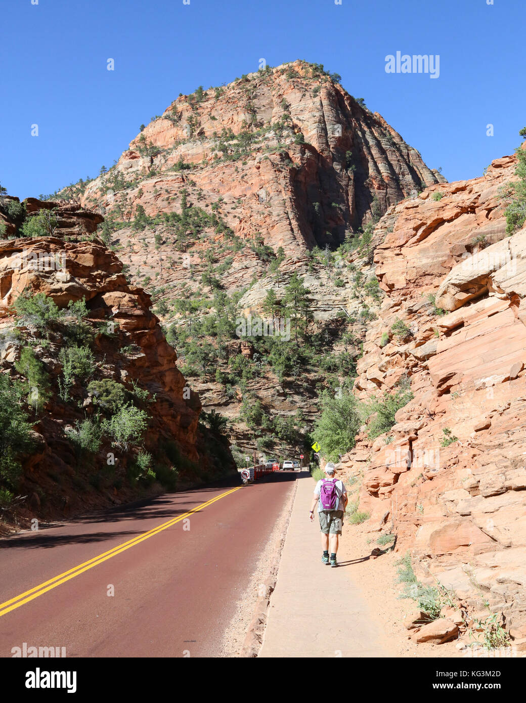 Ansatz zum Canyon Overlook Trailhead, Zion National Park Stockfoto