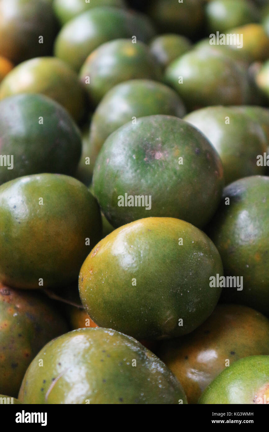 Grüne Orange (Jeruk, indonesische tropische lokale Orangen), frisch und reif, auf Märkten/Obstständen erhältlich Stockfoto
