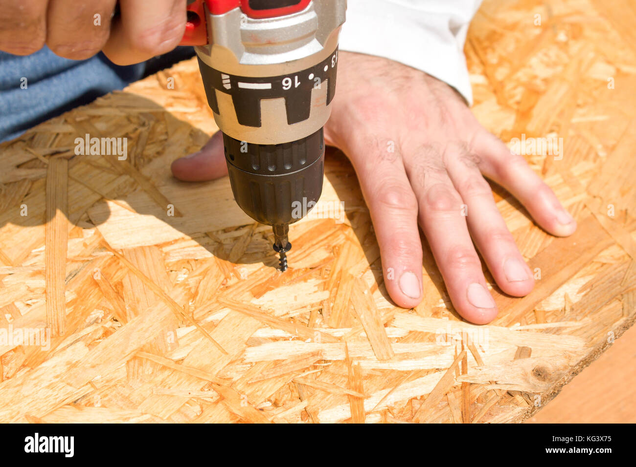 Schreinerei Hände und ziehen Sie die Schraube in die OSB-Platten mit einem  Schraubendreher. Die Schrauben mit dem Schraubendreher in die OSB-Platten  Stockfotografie - Alamy