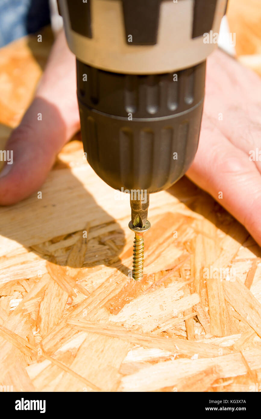 Schreinerei Hände und ziehen Sie die Schraube in die OSB-Platten mit einem Schraubendreher. Die Schrauben mit dem Schraubendreher in die OSB-Platten. Stockfoto