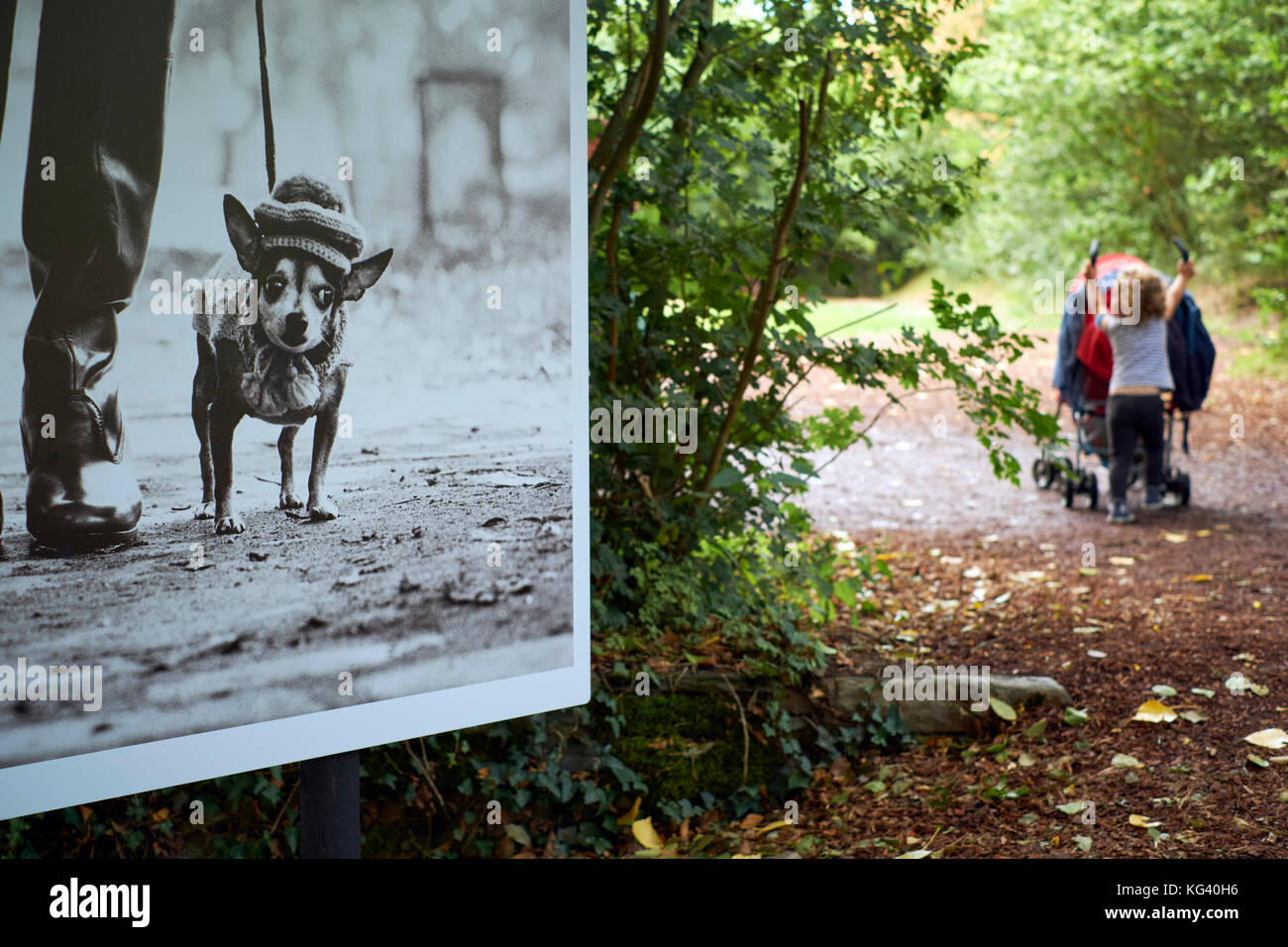 Die Outdoor Fotografie Festival in La Gacily Morbihan Bretagne Frankreich Stockfoto