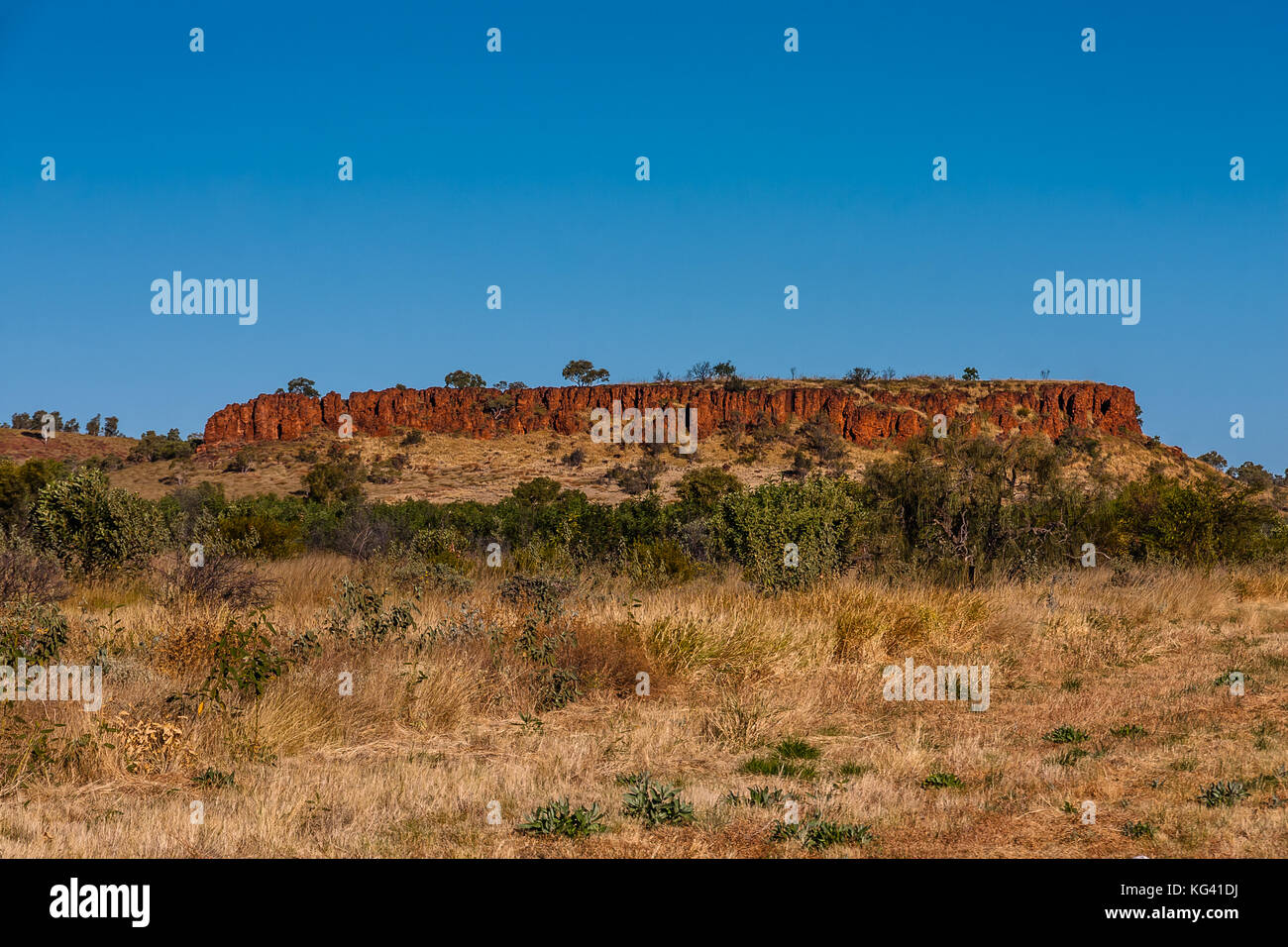 Eine gemeinsame erodierten Felsformationen im australischen Outback Stockfoto