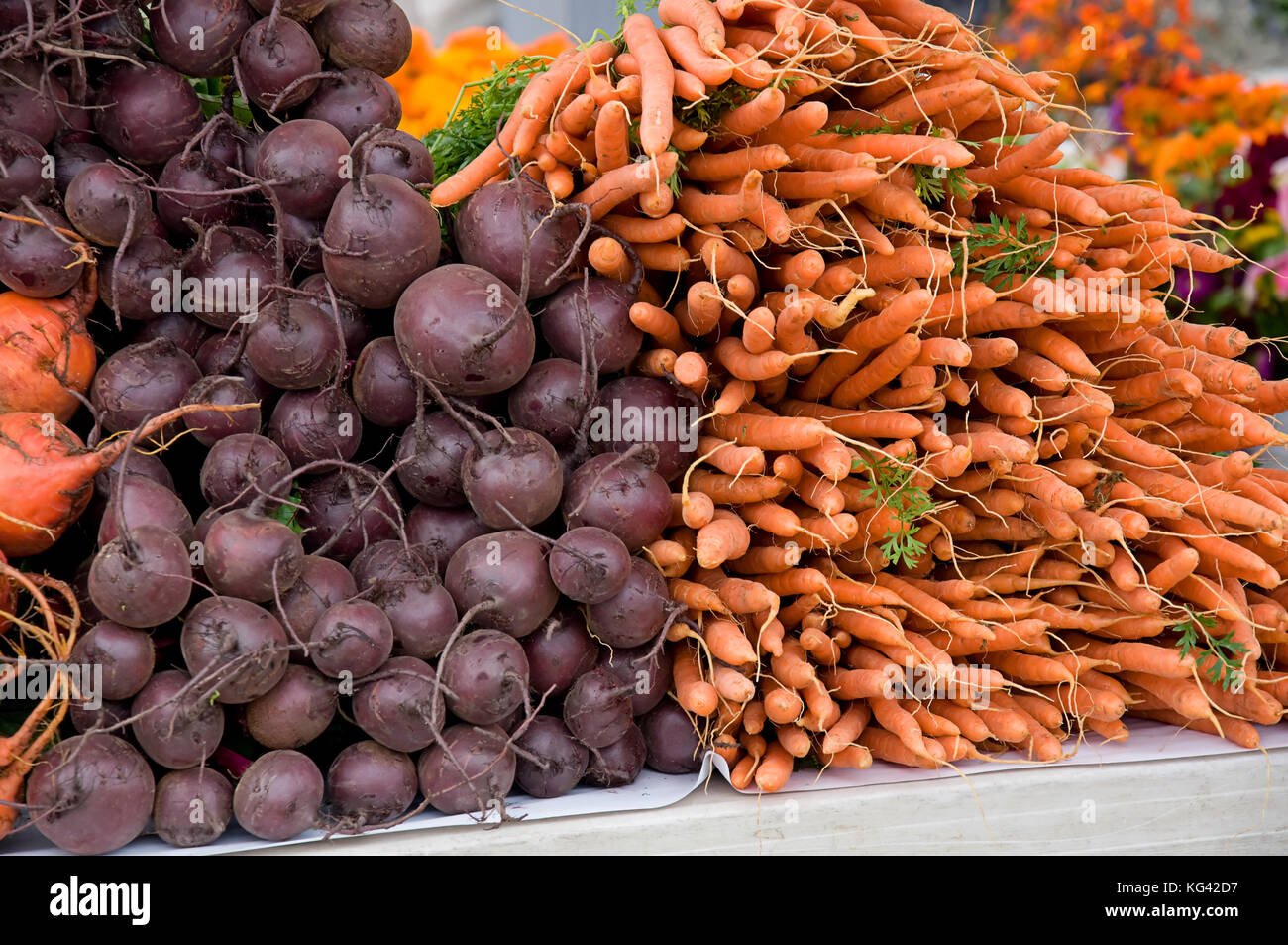 Dies ist ein Lager Bild mit Stapeln von Rote Beete und Karotten Wurzelgemüse. Stockfoto