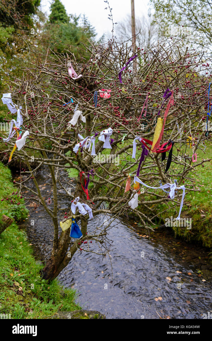 Fairy Tree in einem irischen Heiligen Gut bedeckt in Bändern und Geschenke für die kleinen Leute. Stockfoto