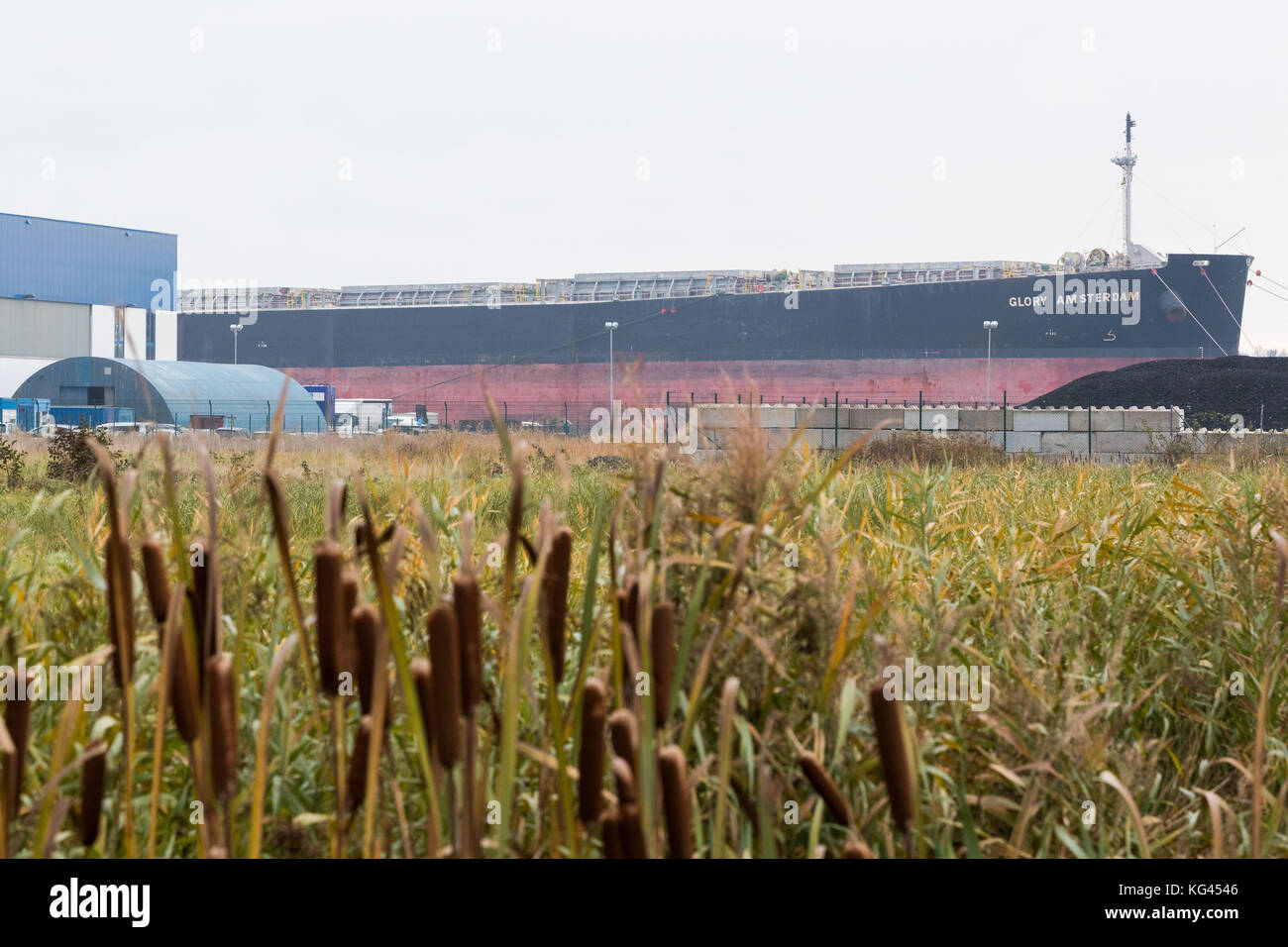 Wilhelmshaven, Deutschland. 3. November 2017. Die beschädigte Fracht Schiff "Herrlichkeit Amsterdam' kann in Wilhelmshaven, Deutschland gesehen werden, den 3. November 2017 wurde das Schiff beschädigt, bevor die Nordsee Insel Langeoog und zog mit drei abschleppen Boote nach Wilhelmshaven - jetzt ist es vorbei für Funktionalitäten überprüft wird. Credit: mohssen assanimoghaddam/dpa/alamy leben Nachrichten Stockfoto