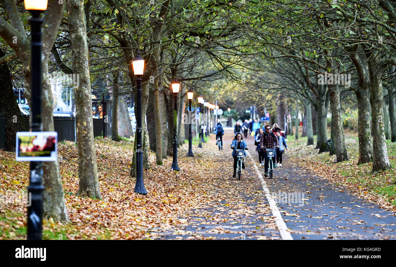 Brighton, UK. 4. November 2017. Radfahrer Fahrt durch Laub durch die Ebene in Brighton an trüben aber warmen Herbst Nachmittag, aber die Temperaturen sind Prognose in den nächsten Tagen in ganz Großbritannien Foto von Simon Dack/Alamy Leben Nachrichten zu stürzen Stockfoto