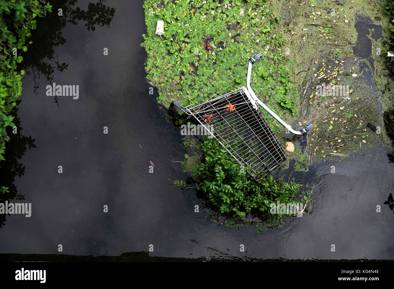 Ein verlassener Einkaufswagen, der in einem lokalen Fluss abgeladen wurde und Umweltschäden in Bristol, England, Großbritannien, verursachte Stockfoto Ein verlassener Einkaufswagen, der in einem lokalen Fluss abgeladen wurde und Umweltschäden in Bristol, England, Großbritannien, verursachte Stockfoto