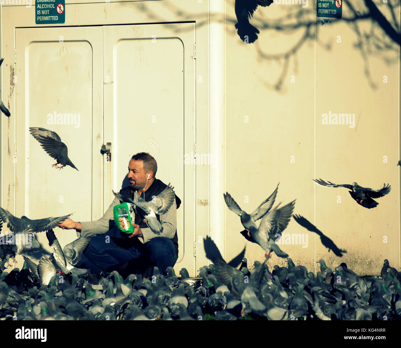 Tauben, die von einem Ausländer auf dem George Square Glasgow zugeführt Stockfoto