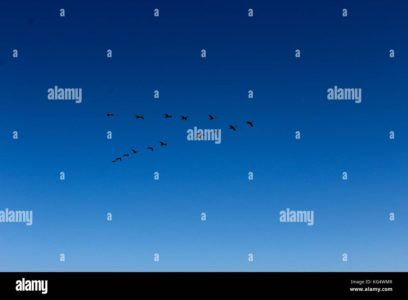 Der schöne Tag in den Parks und die Natur im Wechsel von Sommer bis Herbst. Stockfoto