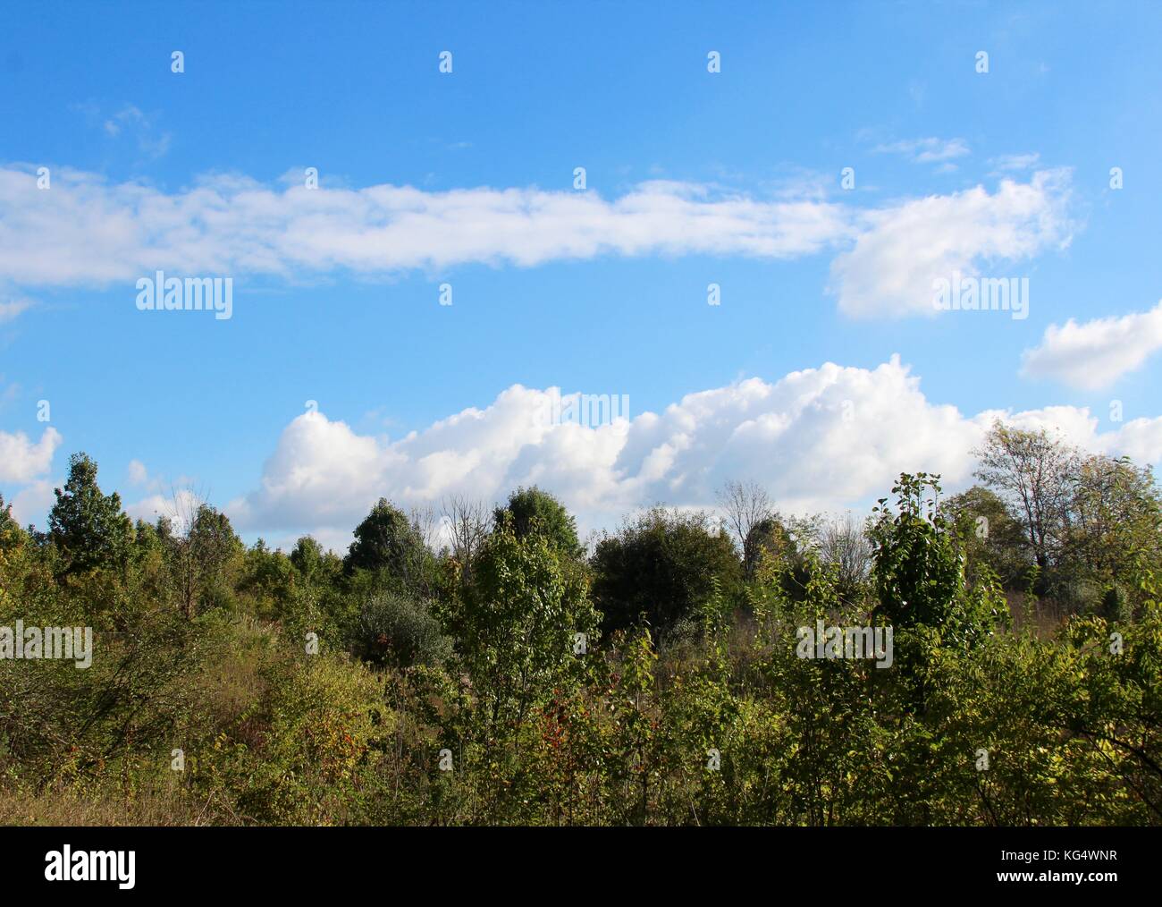 Der schöne Tag in den Parks und die Natur im Wechsel von Sommer bis Herbst. Stockfoto