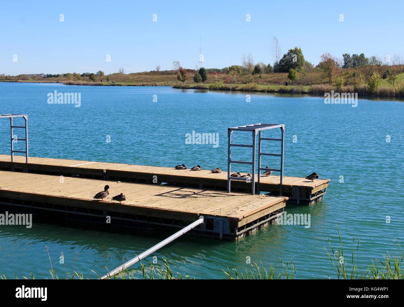 Der schöne Tag in den Parks und die Natur im Wechsel von Sommer bis Herbst. Stockfoto