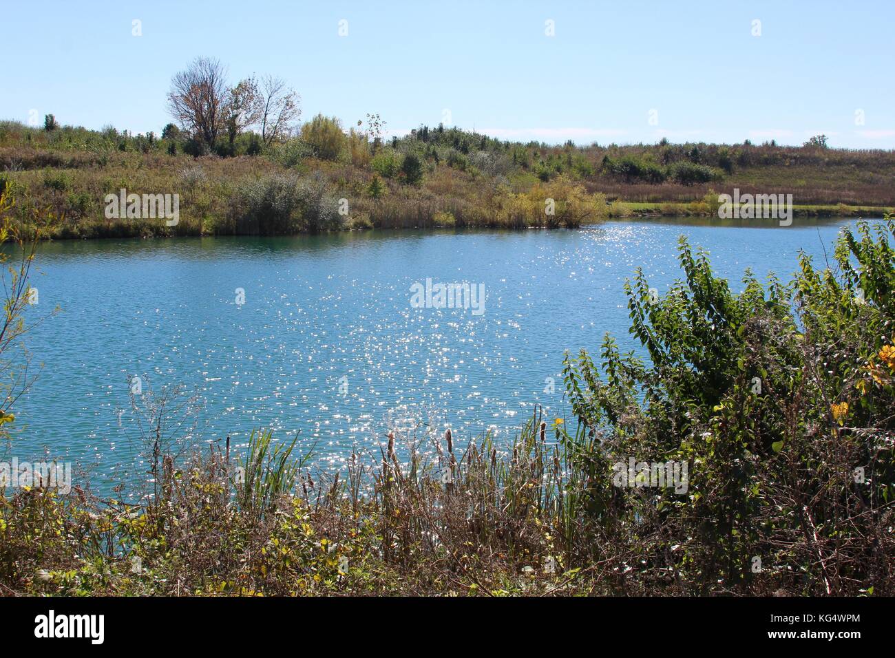 Der schöne Tag in den Parks und die Natur im Wechsel von Sommer bis Herbst. Stockfoto