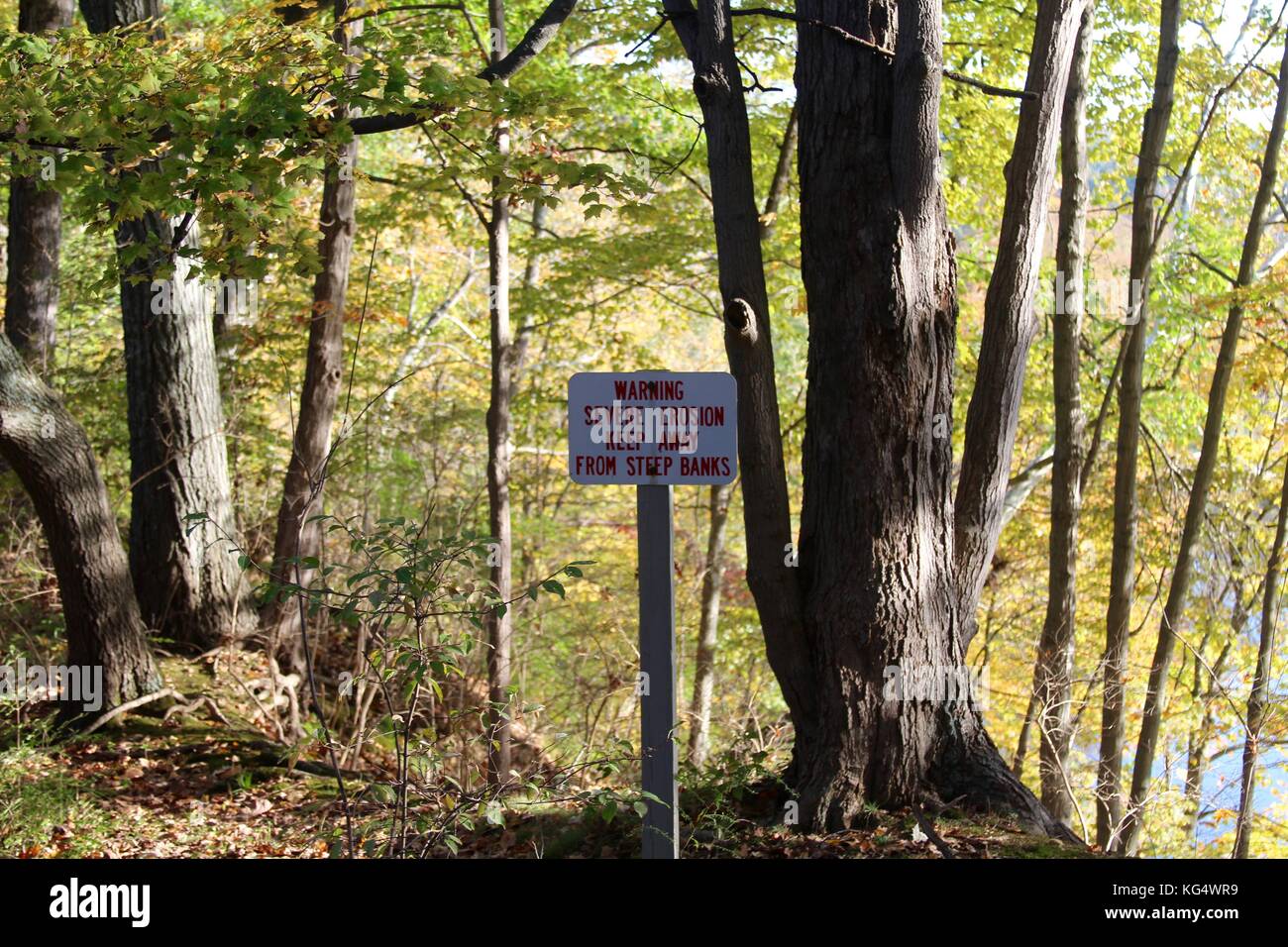 Der schöne Tag in den Parks und die Natur im Wechsel von Sommer bis Herbst. Stockfoto